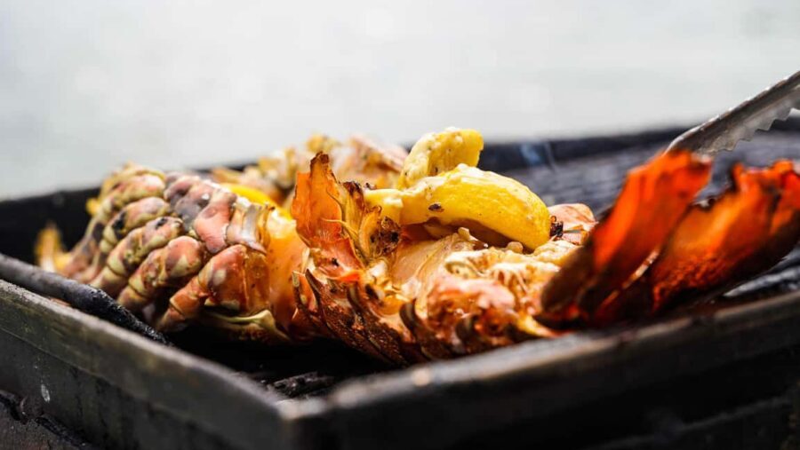 Mauritius: Catamaran Cruise to Ile Aux Cerfs with BBQ Lunch - Practical Tips for Making the Most of Your Trip