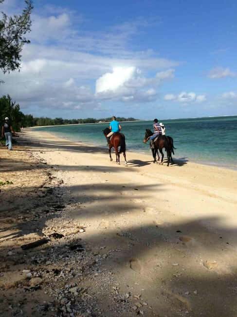 Mauritius: Horse riding on the deserted beach of Riambel - The Practical Details and Logistics