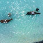 Mauritius: Horseback riding on the beach - The Itinerary: What to Expect from Start to Finish