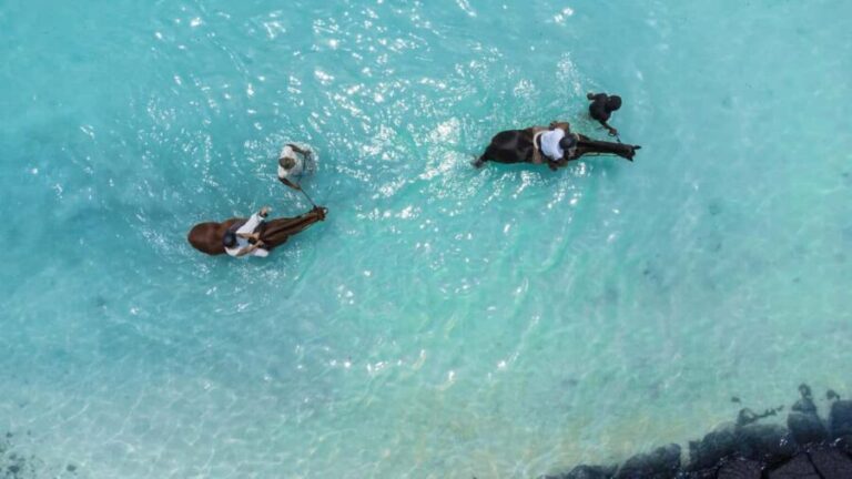 Mauritius: Horseback riding on the beach - The Itinerary: What to Expect from Start to Finish