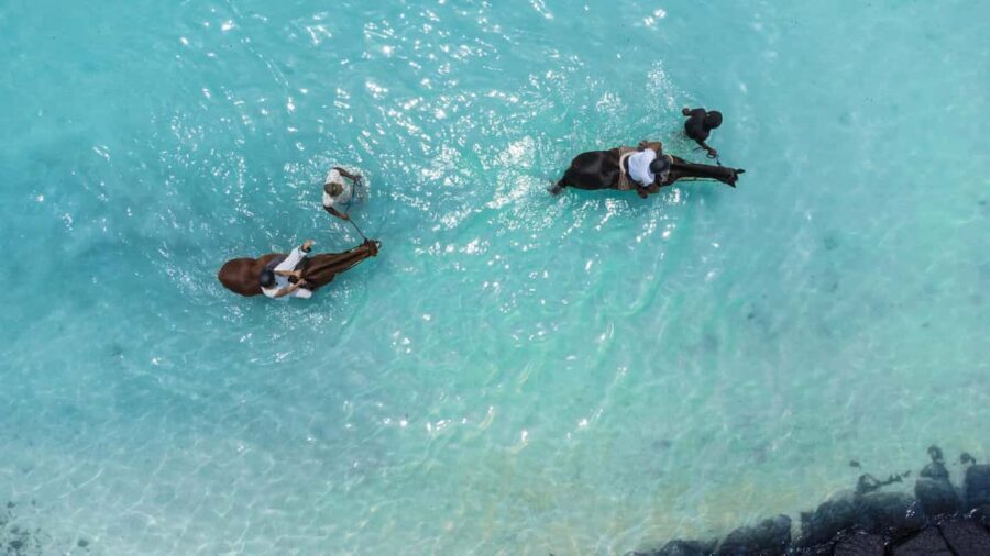 Mauritius: Horseback riding on the beach - The Itinerary: What to Expect from Start to Finish