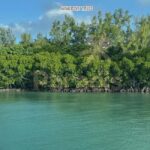 Mauritius: Ile aux Cerfs Speedboat Tour with Lunch & Drinks - Exploring the Itinerary in Detail