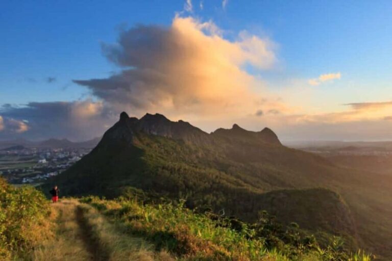 Mauritius: Le Pouce Guided Hiking Experience with a local - The Experience and Its Value