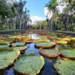 Mauritius: North Island Private Full Day Tour with a Local - The Practicalities: Is It Worth It?