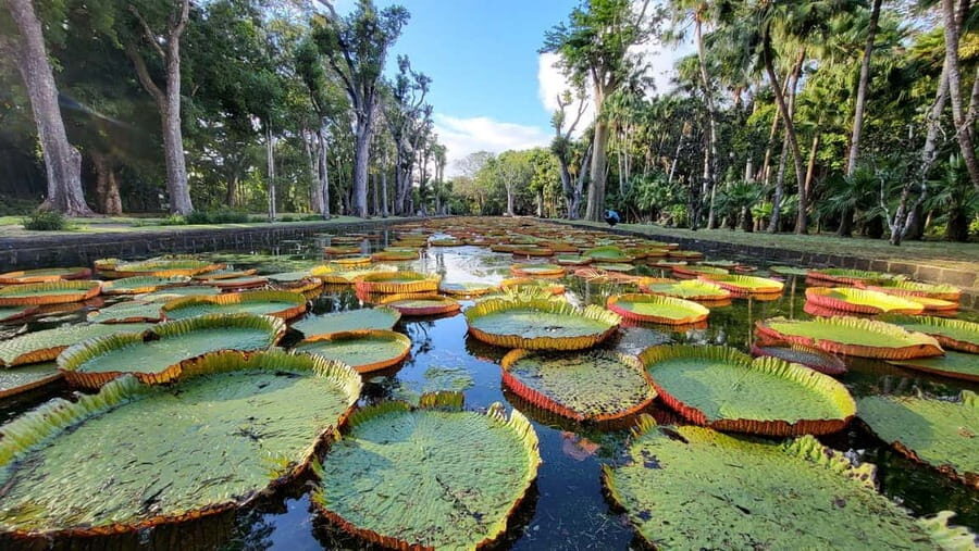 Mauritius: North Island Private Full Day Tour with a Local - The Practicalities: Is It Worth It?