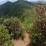 Mauritius: Piton de la Petite Rivière Noire Guided Hike - The Sum Up