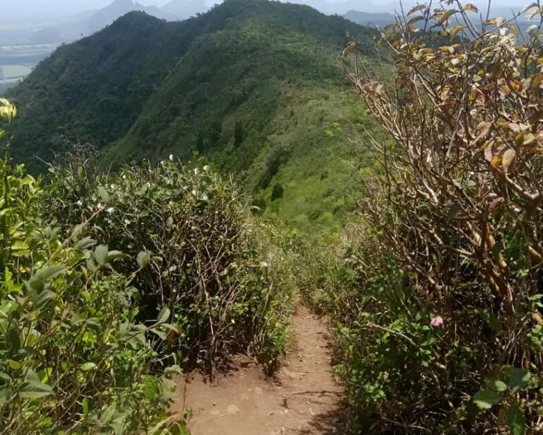 Mauritius: Piton de la Petite Rivière Noire Guided Hike - The Sum Up