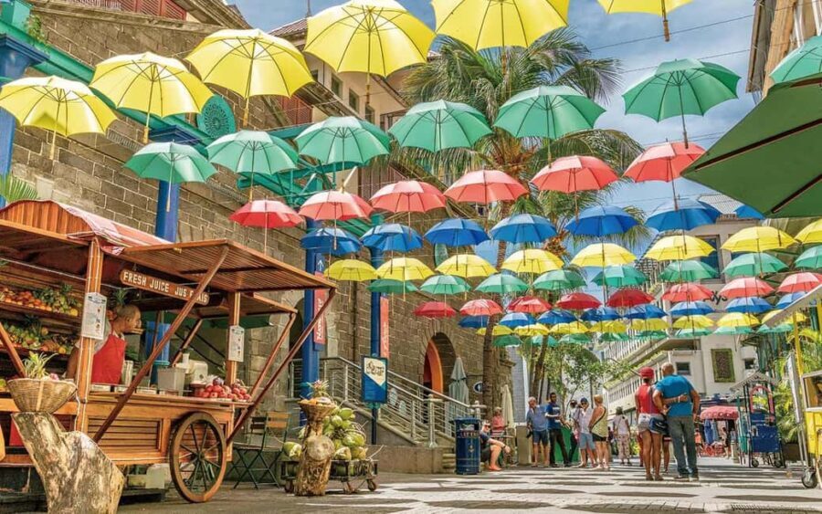 Mauritius: Port Louis and Northern Highlights Full-Day Trip - Who Should Consider This Tour?
