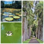 Mauritius: Private Full-Day North Tours - The Logistics