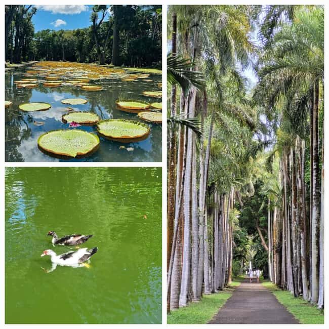 Mauritius: Private Full-Day North Tours - The Logistics