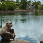 Mauritius: Private Guided South Tour with Pickup - The Practical Aspects