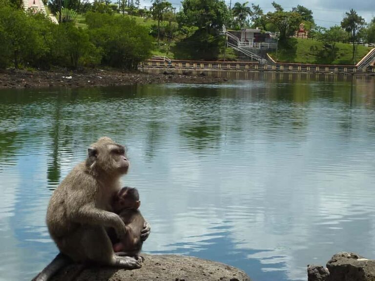 Mauritius: Private Guided South Tour with Pickup - The Practical Aspects