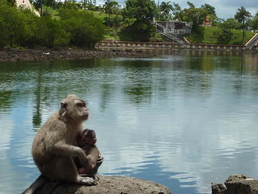 Mauritius: Private Guided South Tour with Pickup - The Practical Aspects