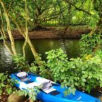 Mauritius: River Guided Kayak Tour with Monkeys - Practical Details & What to Bring