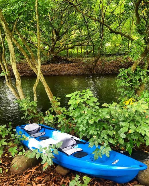 Mauritius: River Guided Kayak Tour with Monkeys - Practical Details & What to Bring