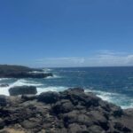 Mauritius: South of Mauritius VIP Quad Tour - Who Should Consider This Tour?