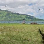 Mauritius: Tamarin Bay, Black River Gorges and Chamarel Tour - Practical Details & Tips