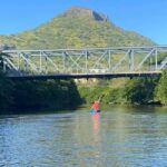 Mauritius: Tamarin Bay Dolphin Watching Kayak Tour - Authentic Insights from Past Travelers