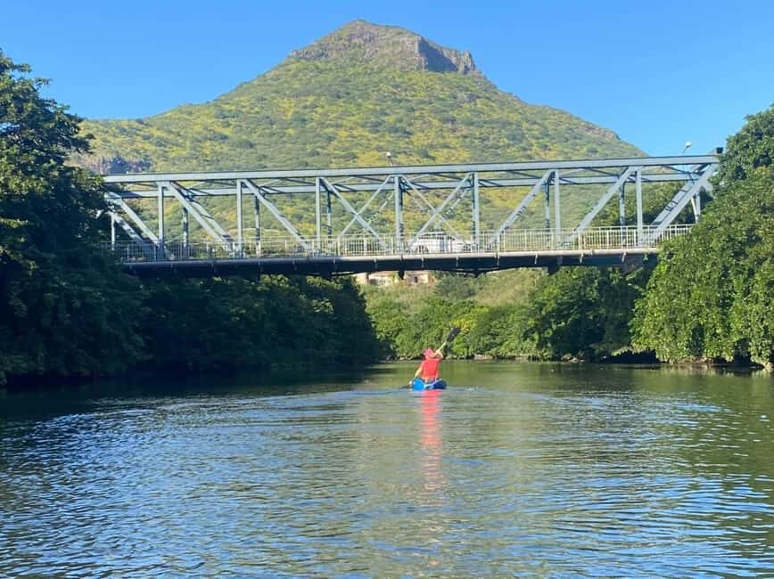 Mauritius: Tamarin Bay Dolphin Watching Kayak Tour - Authentic Insights from Past Travelers