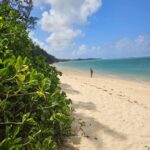 Mauritius: Vanilla Park & Beaches Tour with Extra Option - Frequently Asked Questions