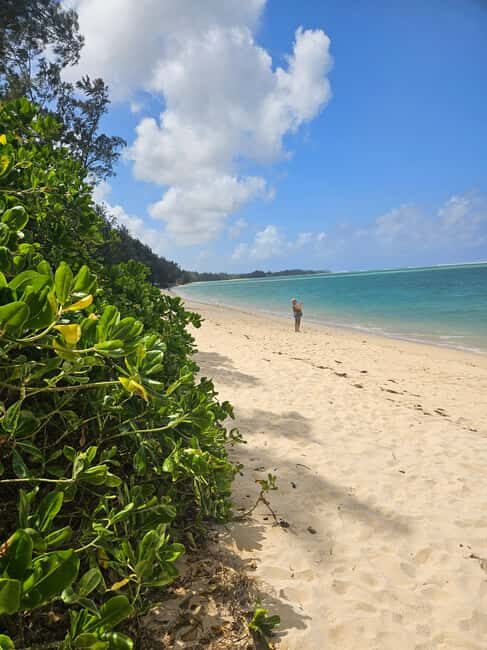 Mauritius: Vanilla Park & Beaches Tour with Extra Option - Frequently Asked Questions