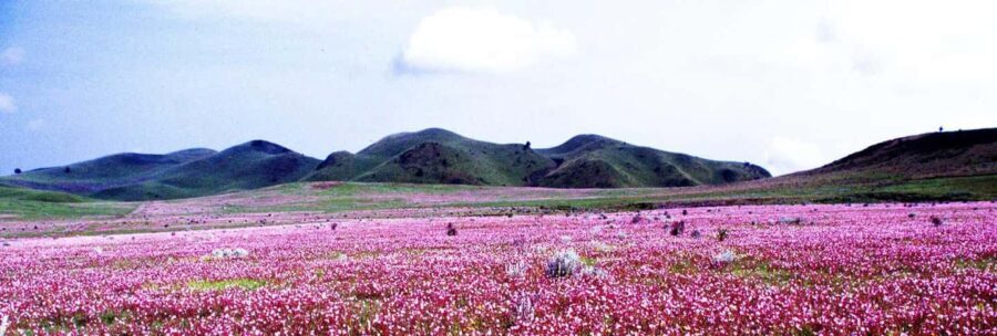 Mbeya: Kitulo National Park 2-Day Itinerary - Why This Tour Offers Genuine Value