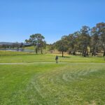 McLaren Vale and Historic Hahndorf Wine Tour - Price and Value Perspective