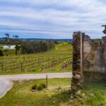 McLaren Vale: E-Bike Rental to Explore the Vineyards - What the Reviews Say