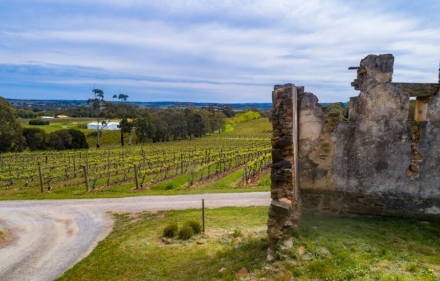 McLaren Vale: E-Bike Rental to Explore the Vineyards - What the Reviews Say