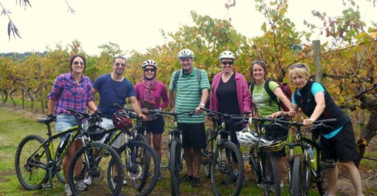Mclaren Vale Hills Vines and Wines Bike Tour from Adelaide - Who Is This Tour Best For?