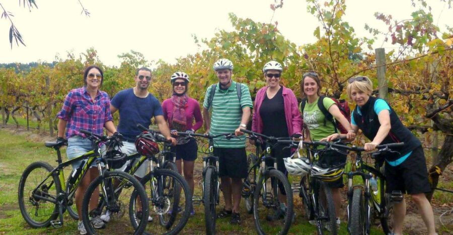 Mclaren Vale Hills Vines and Wines Bike Tour from Adelaide - Who Is This Tour Best For?