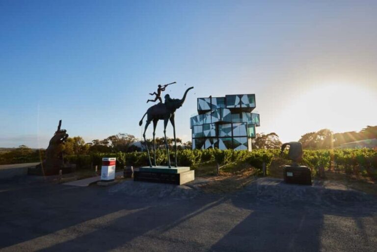 McLaren Vale North: Hop-On Hop-Off Tour - Exploring the McLaren Vale North Experience