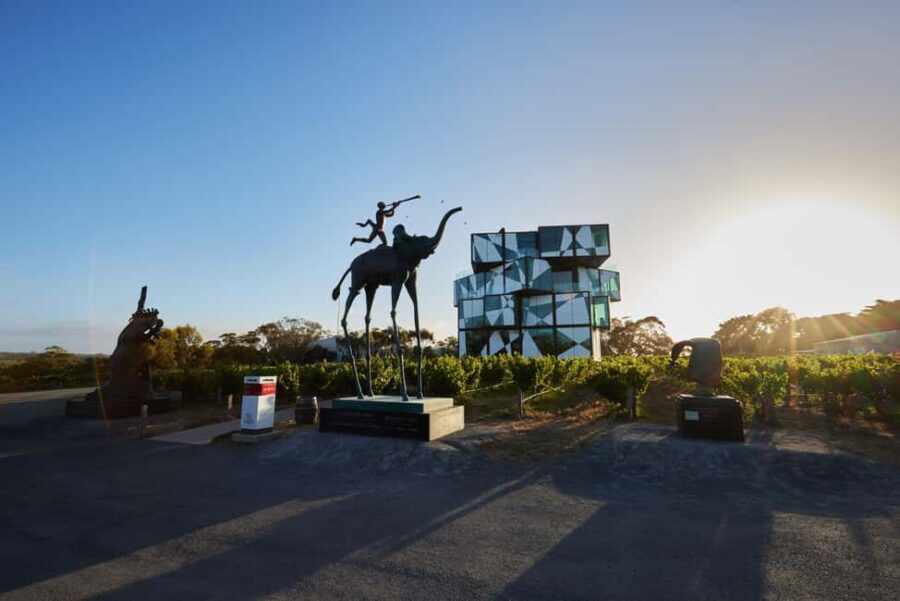McLaren Vale North: Hop-On Hop-Off Tour - Exploring the McLaren Vale North Experience