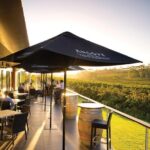 McLaren Vale North Hop-On Hop-Off Winery Tour from Adelaide - Transportation and Timing