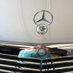 McLaren Vale: Small Group Gin Tour (Inc Flights & Lunch) - What to Expect from the McLaren Vale Small Group Gin Tour