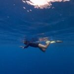 Meet the giants of the seas Semi-private whale trip - What Makes This Whale Watching Tour Special