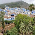 Meknes: Day Trip to Chefchaouen with a Stop at Volubilis - An In-Depth Look at the Itinerary