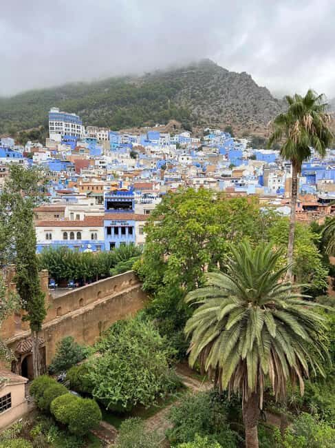 Meknes: Day Trip to Chefchaouen with a Stop at Volubilis - An In-Depth Look at the Itinerary