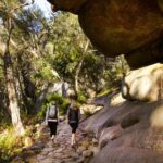 Melbourne: 2-Day Great Ocean Road & Grampians Tour - A Closer Look at the Itinerary