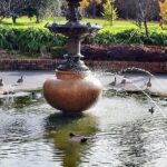 Melbourne and Moonlit Sanctuary Shore Excursion - Who Should Book This Tour?