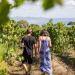 Melbourne: Around the Bay Food & Wine Taste Trail - The Guide and Group Experience