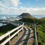 Melbourne: Coastal View & Phillip Isand Penguin Parade Tour - What’s Included and What’s Not