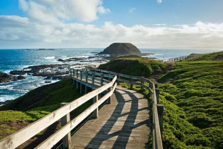 Melbourne: Coastal View & Phillip Isand Penguin Parade Tour - What’s Included and What’s Not