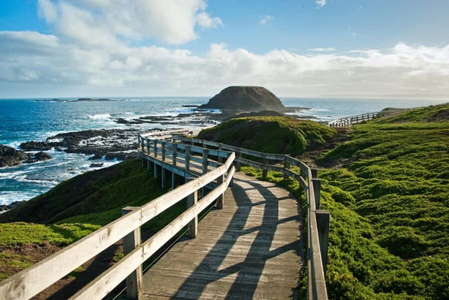 Melbourne: Coastal View & Phillip Isand Penguin Parade Tour - What’s Included and What’s Not
