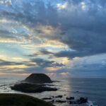 Melbourne Essentials: City, Penguins and Great Ocean Road - Key Points