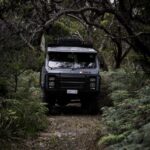 Melbourne: French and Phillip Island Wildlife Expedition - What to Expect on the Day