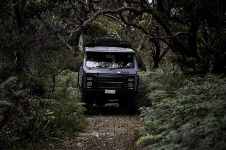 Melbourne: French and Phillip Island Wildlife Expedition - What to Expect on the Day