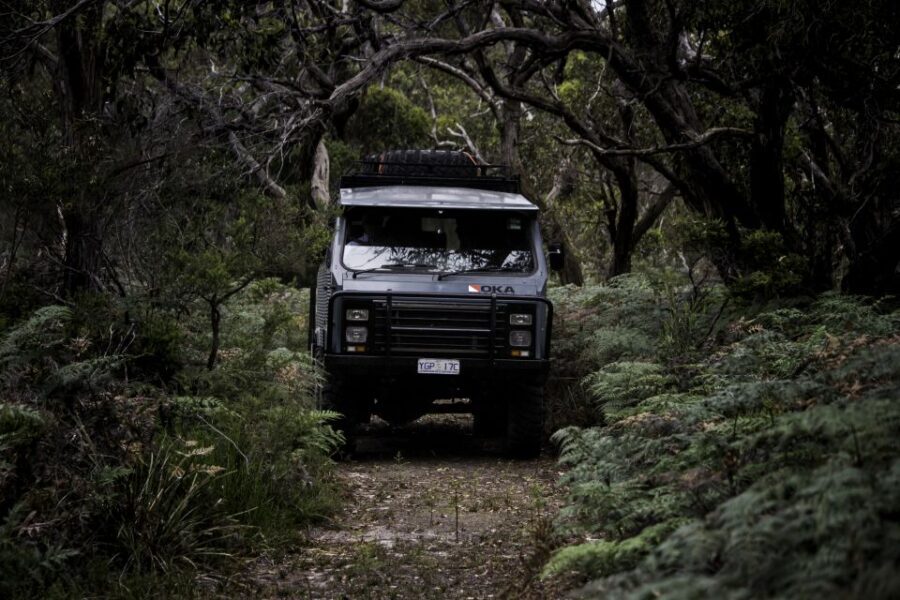 Melbourne: French and Phillip Island Wildlife Expedition - What to Expect on the Day