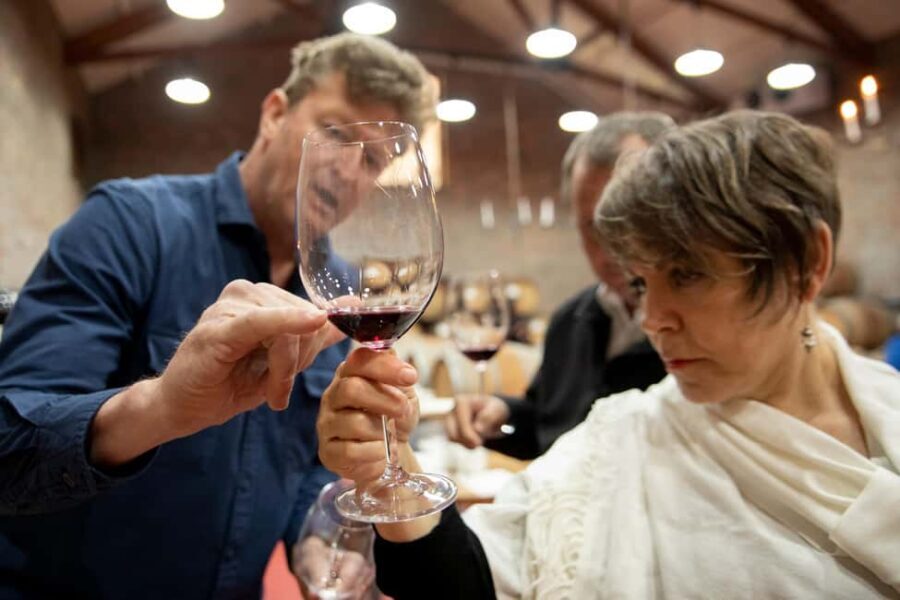 Melbourne: Full-Day Winemaker-Led Wine Tasting Tour - Transportation and Group Dynamics