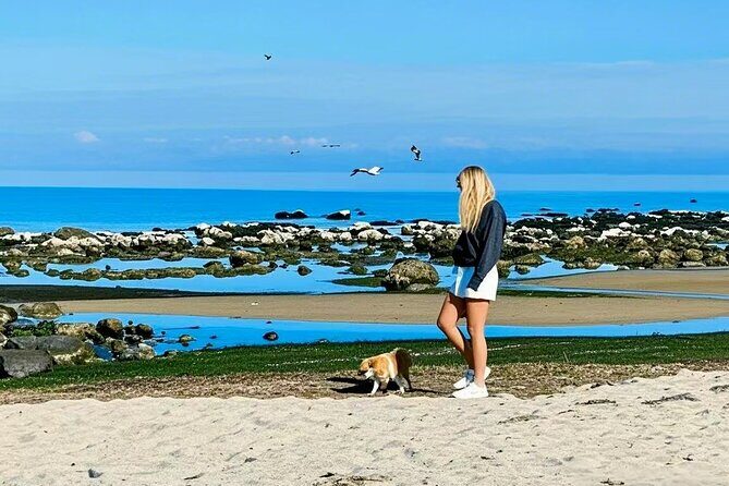 Melbourne Great Ocean Road 12 Apostles Luxury Coach Tour - The Value for Money